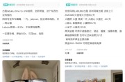 六爻简单闲鱼：LABUBU搜索量环比上涨1000%，供不应求下现租赁新形式